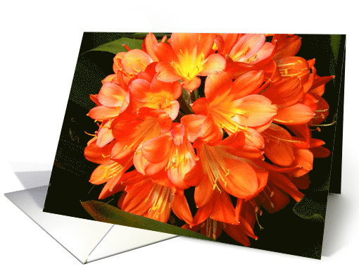 Blank- Any Occassion-Orange,Yellow Flower card (621188)