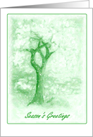 Teacher/Instructor Christmas Season’s Greetings Snowy Tree Scene card