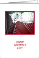 Valentines Day Handpainted White Cat Print in Red Black & White card