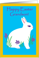 Grandson Happy Easter Fluffy White Bunny With Purple Flowers card