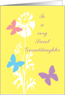 Granddaughter Birthday Butterflies with White Flowers card