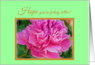 Cancer Hope Get Well Beautiful Pink Peony Flower card