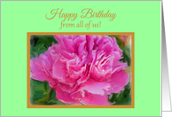Happy Birthday from All Beautiful Pink Peony Flower card