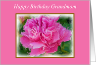 Grandmom Happy Birthday Beautiful Feminine Pink Peony Flower card