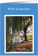 Sympathy Beautiful Weeping Willow Tree on Creek card