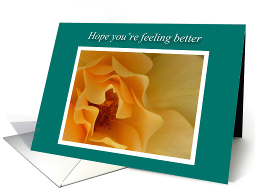 Get Well Feel Better Soft Dreamy Yellow Rose card (962259)
