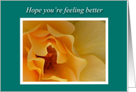 Get Well Feel Better Soft Dreamy Yellow Rose card