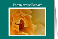 Get Well Surgery Dreamy Yellow Rose card