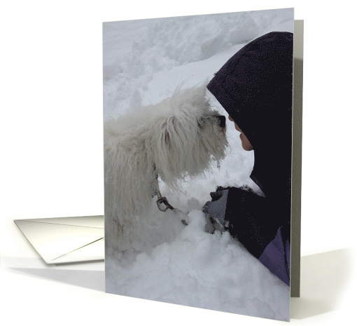 Friendship--nose to nose card (558700)