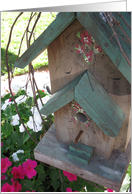 New Home-birdhouse