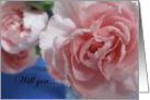 Be My Junior Bridesmaid--pink flowers card