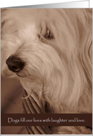 Sympathy--pet, dog card