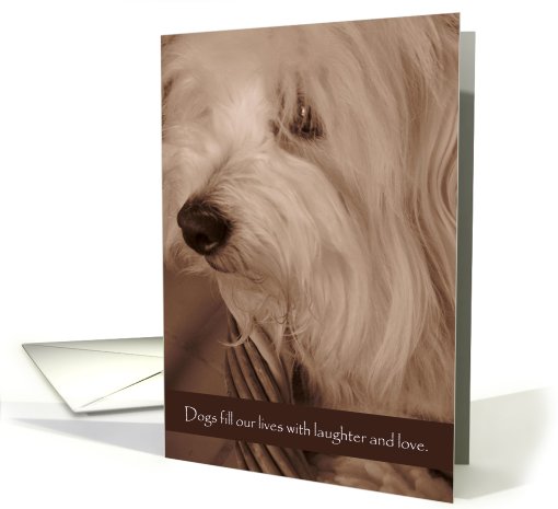 Congratulations--new pet, dog card (580176)