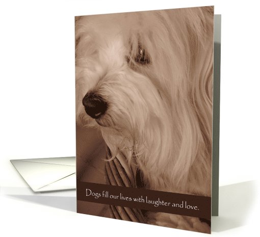 Dogs fill our lives--blank card (580354)