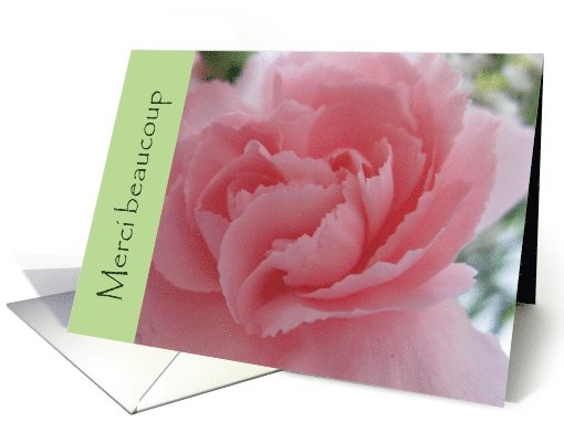 Thank you--French, blank card (582540)