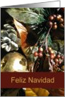 Merry Christmas--Spanish, Feliz Navidad card