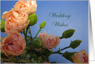 Congratulations--Wedding Wishes card