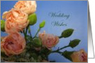 Congratulations--Wedding Wishes card