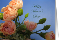 Happy Mother's Day-...