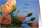 Happy Mother’s Day--Bouquet card
