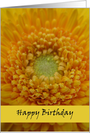 Happy Birthday--Yellow Flower card