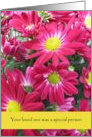 With sympathy--Condolences, Pink Zinnias card