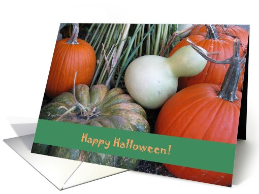 Happy Halloween--Pumpkins and Gourds card (698607)