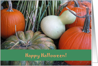 Happy Halloween--Pumpkins and Gourds card