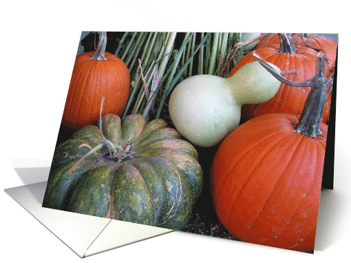 Happy Halloween Birthday--Pumpkins and Gourds card (698620)