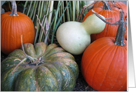 Happy Halloween Birthday--Pumpkins and Gourds card