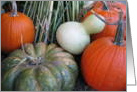 Happy Halloween Birthday--Pumpkins and Gourds card