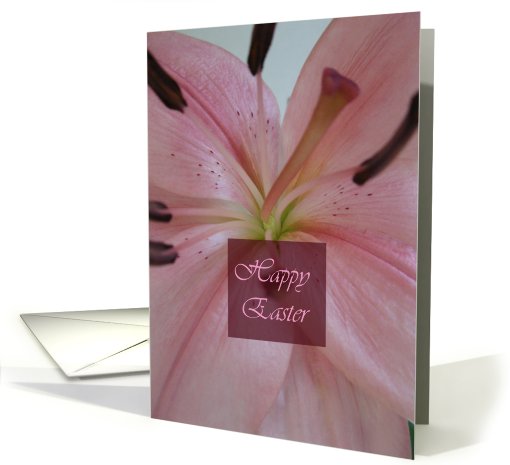 Happy Easter, pink lily card (775712)