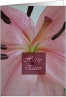 Happy Easter, pink lily card