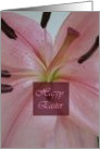 Happy Easter, pink lily card
