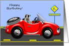 Birthday with a Cute Raccoon Driving a Red Classic Car Convertible card