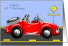 43rd Birthday, age humor, raccoon driving red classic car, convertible card