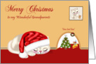 Christmas to Grandparents, cat wearing Santa hat sleeping, mouse hole card