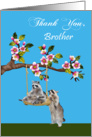 Thank You to Brother, raccoon pushing another raccoon on a tree swing card