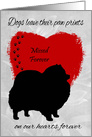 Sympathy for Loss of Dog Card with a Dark Silhouette of a Pomeranian card