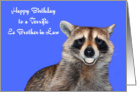 Birthday To Ex Brother-in-Law, Raccoon smiling, pearly white dentures card