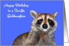 Birthday To Goddaughter, Raccoon smiling with pearly white dentures card