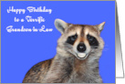 Birthday to Grandson in Law with a Raccoon Smiling wih Pearly Whites card