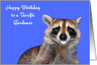 Birthday To Gardener, Raccoon smiling with pearly white dentures card