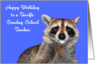 Birthday To Sunday School Teacher, Raccoon smiling with white dentures card