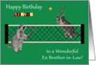 Birthday to Ex Brother-in-Law, Raccoons playing tennis, tennis rackets card