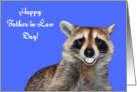 Father-in-Law Day, Raccoon smiling with pearly white dentures on blue card
