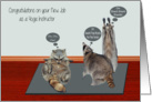 Congratulations, New Job, Yoga Instructor, raccoons attempting yoga card