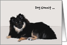 Birthday, Belated Wishes, general, Sable Pomeranian with talk bubble card