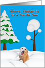 Christmas to Son, Golden Labrador against a snowy background card