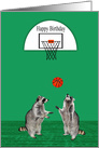 Birthday Card with a Basketball Theme and Raccoons Playing Ball card